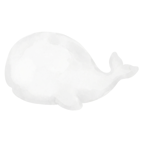 NEUGIERLINGE — KLEINE GROSSE FRAGEN EINFACH ERKLÄRT